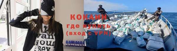 шишки Балахна